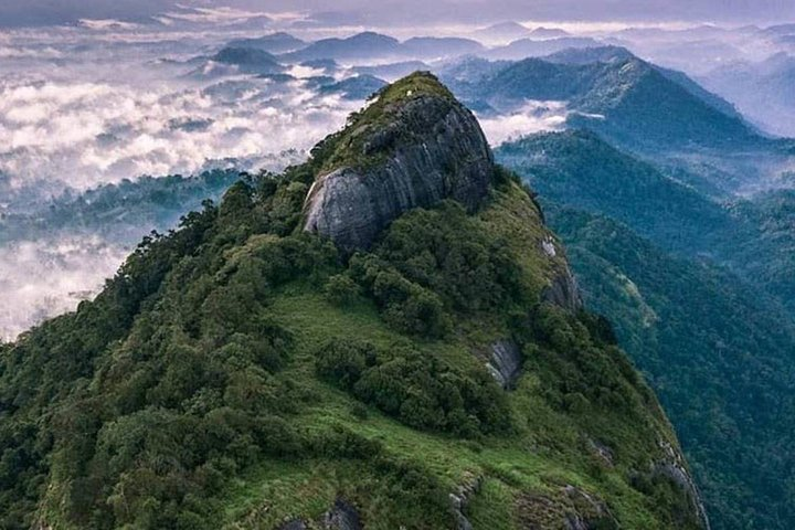 12 Days Nature & Wildlife Tour